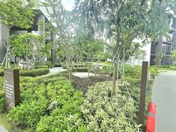 The Botany At Dairy Farm (D23), Condominium #605798691